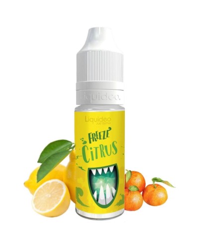 Freeze Citrus 10ml - Liquideo